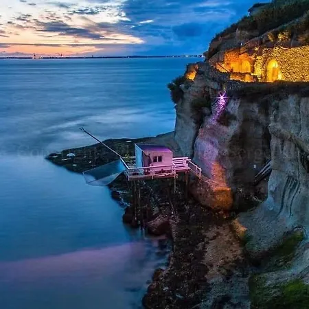 Villa Villa le dauphin 4 étoiles vu Mer Meschers-sur-Gironde