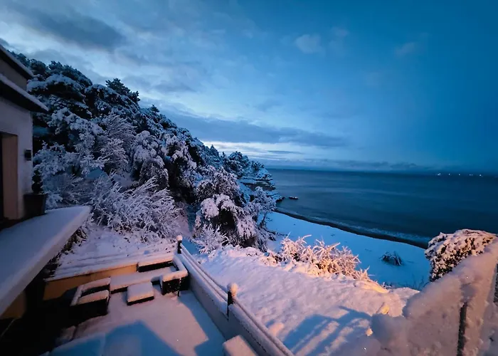 Le Dauphin 4 Etoiles Vu Meschers-sur-Gironde