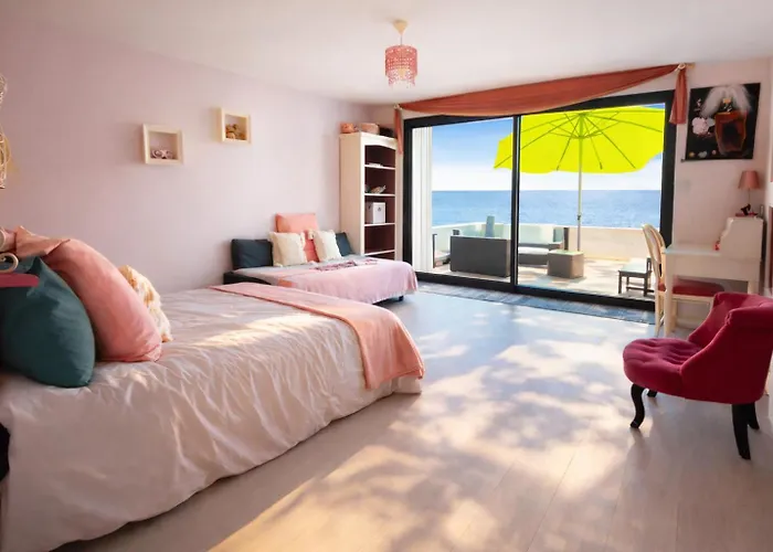 Le Dauphin 4 Etoiles Vu