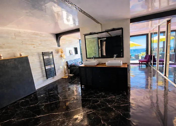 Le Dauphin 4 Etoiles Vu Meschers-sur-Gironde